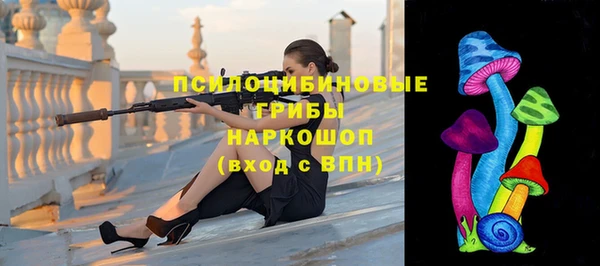 дживик Абинск